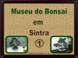 Museu do Bonsai 1